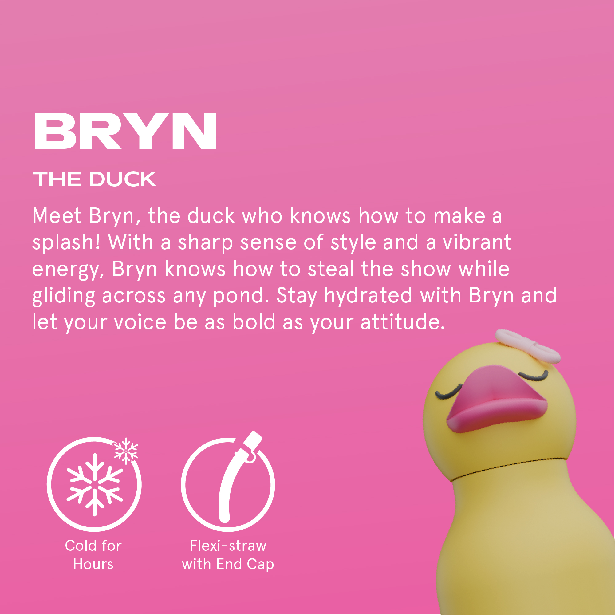 Thermosflasche Ente Bryn, 460ml - Image 3