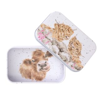 Mini Geschenkdose "Hochlandrinder"